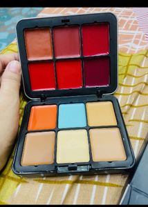 All IN ONE Concealer +blush Palate