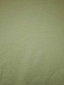 Light Green Pastel Tshirt - French Brand