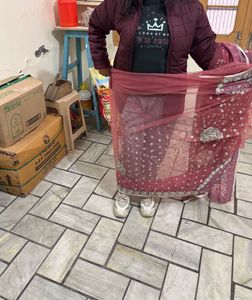 Elegant Embellished saree