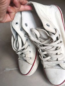 Converse White Sneakers
