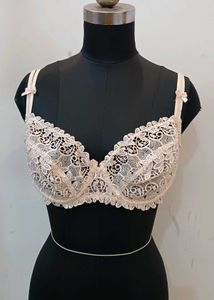 Elegant Lace Bra 38D