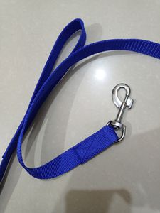 Long Leash For Dogs , Puppy , Cats
