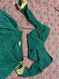 Green Embellished Lehenga Choli