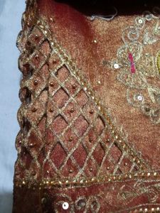 Beautiful Embellished Saree