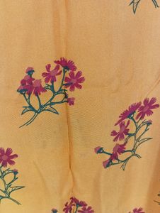 Orange Printed Kurta (Women)