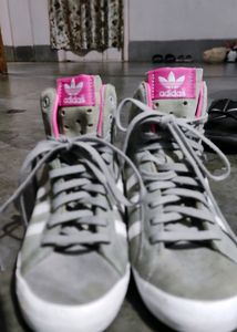 Addidas Shoe