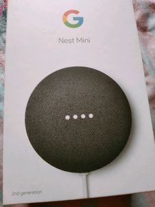 Google Nest Mini