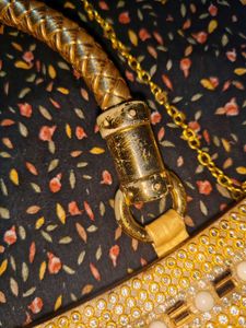 Sparkling Gold Embellished Clutch
