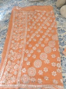 Lucknowi Chikkanari Saree With Stich Blouse