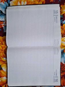 2013 Edition Diary