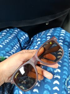 Beautiful Brown Sunglasses