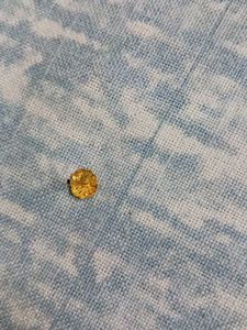 GOLD Nose Pin
