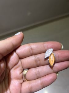 Brand New Earrings