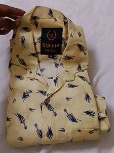 Casual Shirts