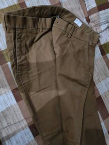 Brown Casual Pant