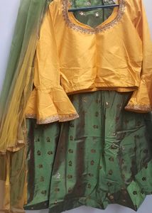 Party Wear Lehnga Choli