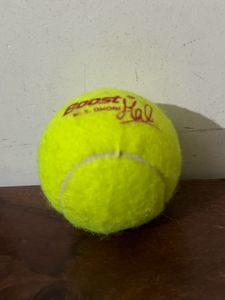 Cricket Ball