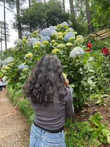 Stylish Women's cardigan