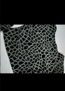 Black Blouse