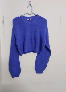 Berrylush Crop Acrylic Pulliver Sweater