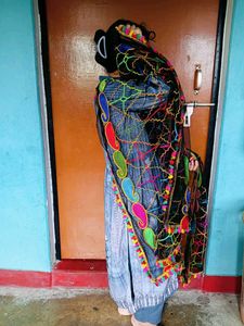 Embroidered Net Dupatta