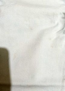 White Capris with Embellishments