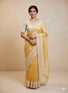Beautiful Saree✨