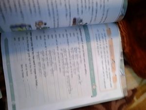 6th Class Hindi Grammar School Book