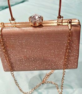 Elegant Evening Clutch