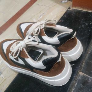 Basic Brown Daily Wear Shoes Comfortable