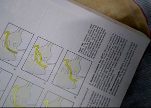ENT Textbook Dhingra, 6th Edition