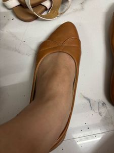 Formal Brown Bellies