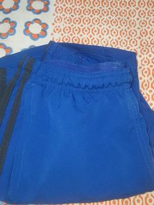 Adidas Blue Shorts