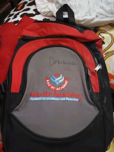 Red &amp; Black Backpack for school