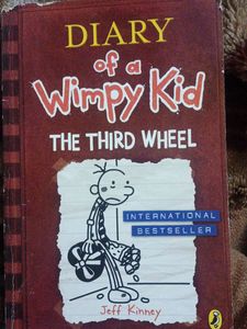 Diary Of A Wimpy Kid The Third Wheel