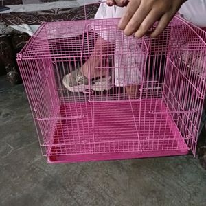 Cage
