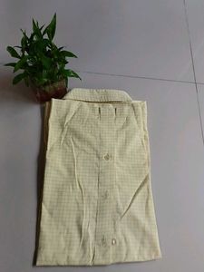 Checked Casual Shirt