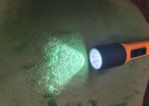 Eveready Torch