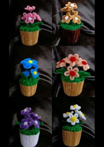 Pipe Cleaner Flower Pots