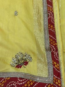 Designer Saree