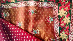 Pure Organza And Georgette Saree