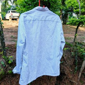 Striped Button-Down Shirt