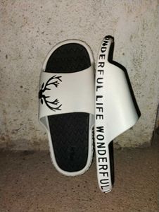 White Deer Slides