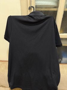 Lacoste Polo Shirt - Classic Style