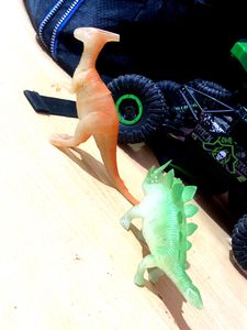Awesome Transparent Soft Toys