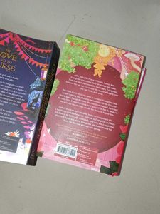 The Once Upon A Broken Heart Series