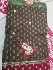 Elegant Embellished Saree