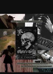 Where&#39;s Molly by H.D. Carlton
