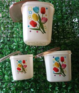 3 In One Combo Container/ Large Medium Small