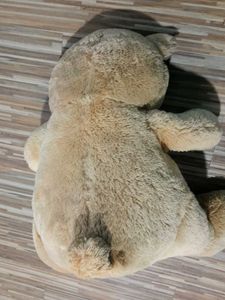 Price Drop - Cute Stuffed Teddy Bear